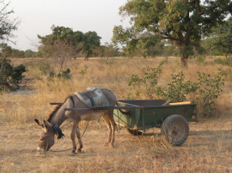 03 Le Trente Tonnes Local